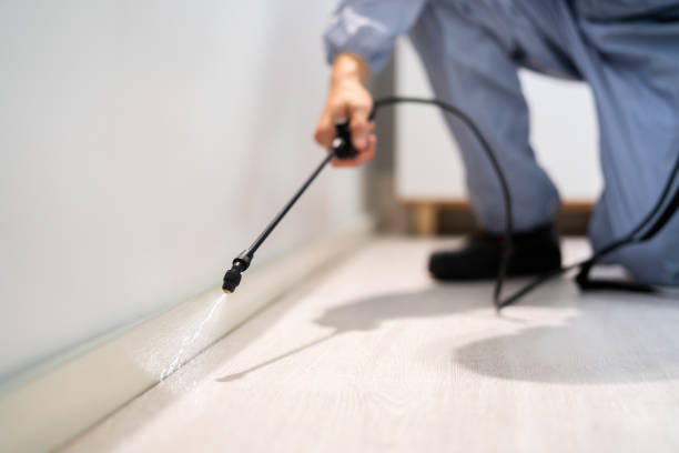 Licensed Mosquito Control service in Smithfield, NC - Show Me Pest Control
