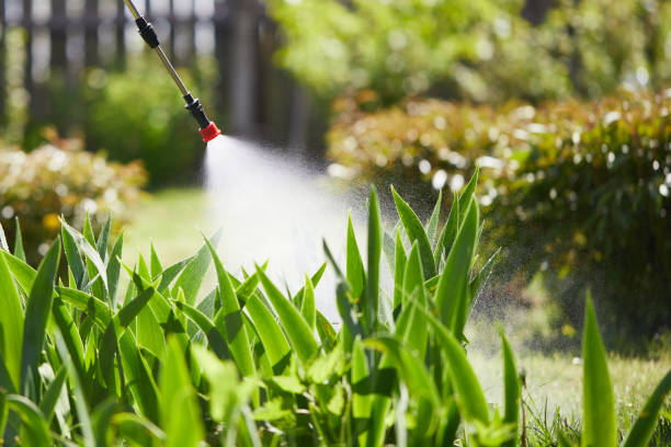 24/7 Emergency Mosquito Control experts in Smithfield, NC
