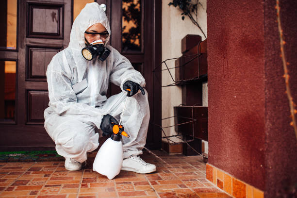 Reliable Mosquito Control contractor in Smithfield, NC by Show Me Pest Control